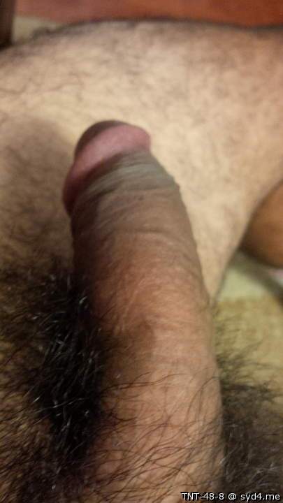 Photo of a third leg from TNT-48-8