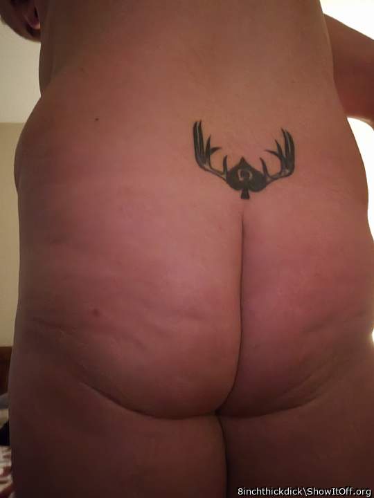 Photo of a hot dog from 8inchthickdick