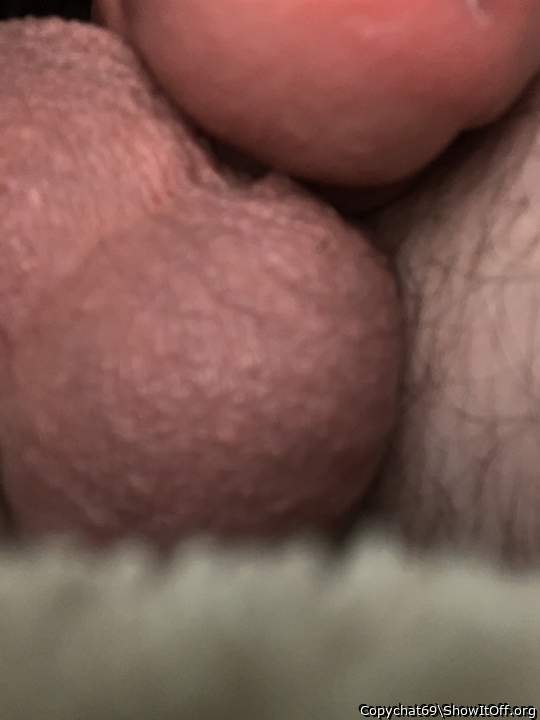 Photo of a phallus from Copychat69