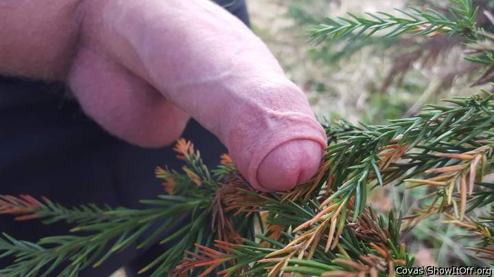 Beautiful uncut cock 👍 👍 👍 👍