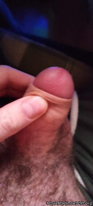 Photo of a python from AttleeMS