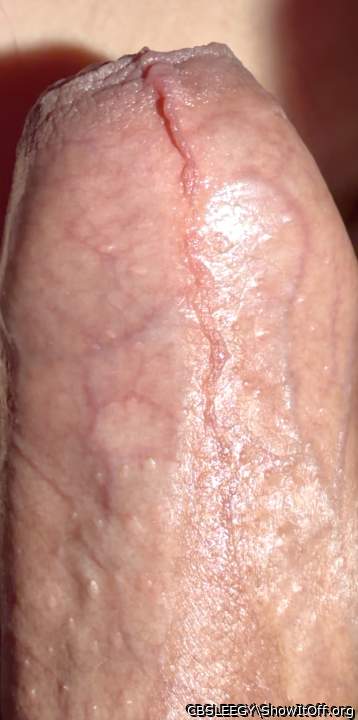 Amazing pointy foreskin!