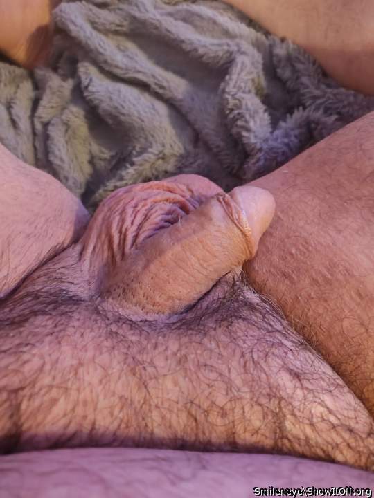 Photo of a snake from Smileneye