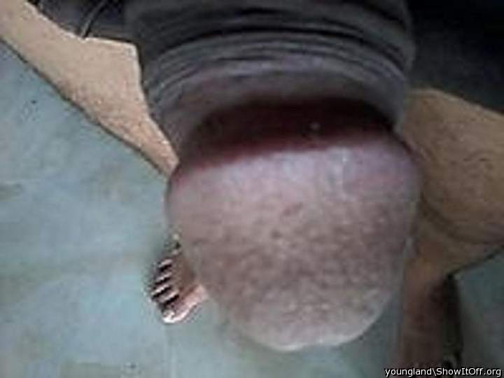 Photo of a third leg from youngland