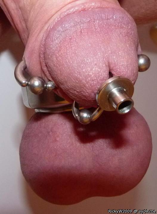 Penis Pacifier