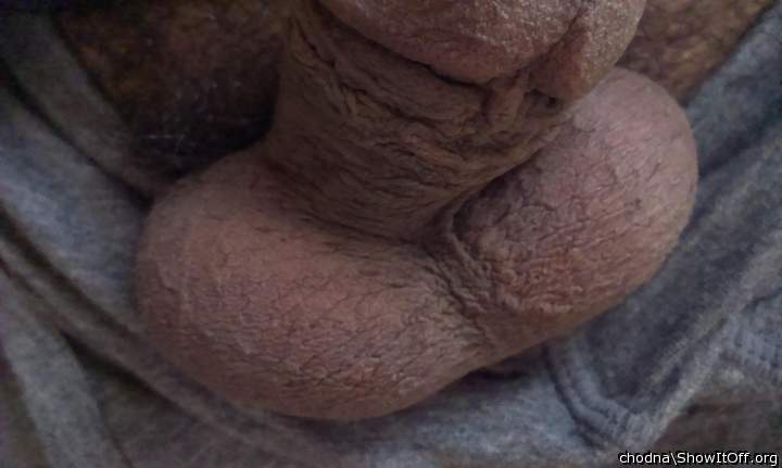Testicles Photo from chodna
