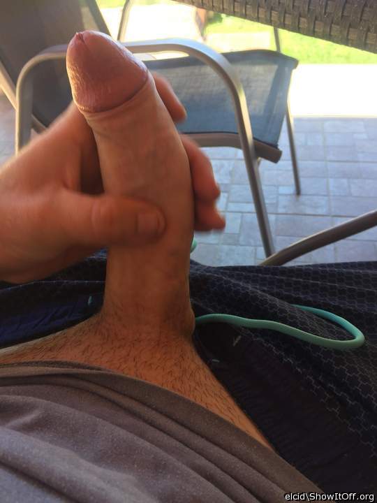 Photo of a stiffie from elcid