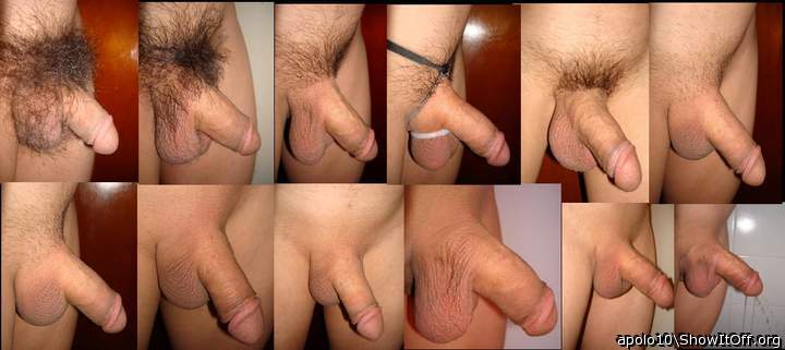 apolo10  Hairy to shaved