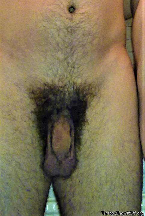 Photo of a cock from Timbo