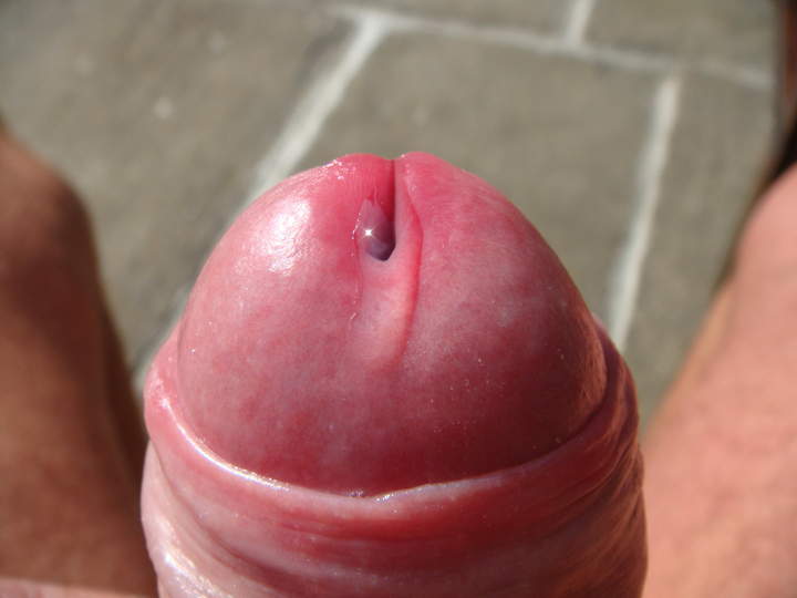Photo of a pocket rocket from sivad666