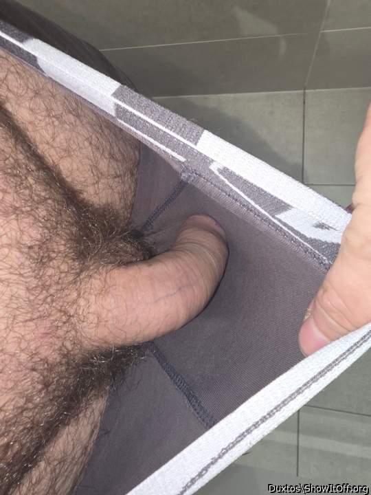 Photo of a wiener from Duxtos