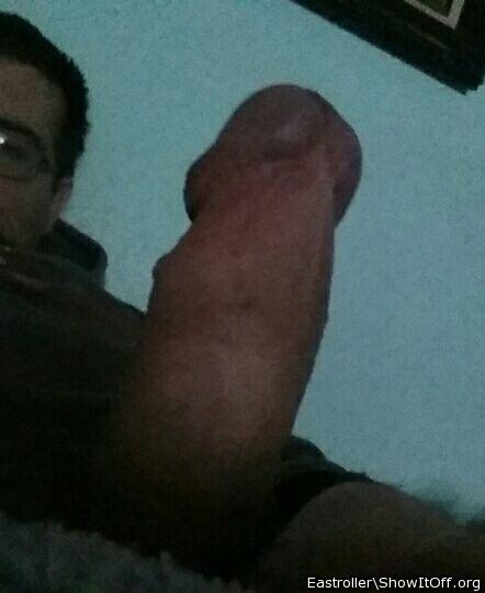 Photo of a middle leg from *Humpy_Rugmuncher
