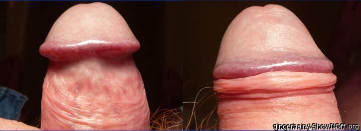 Photo of a snake from gingerhairy