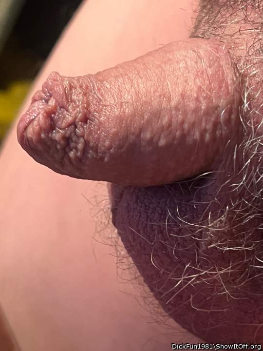 Photo of a sausage from DickFun1981