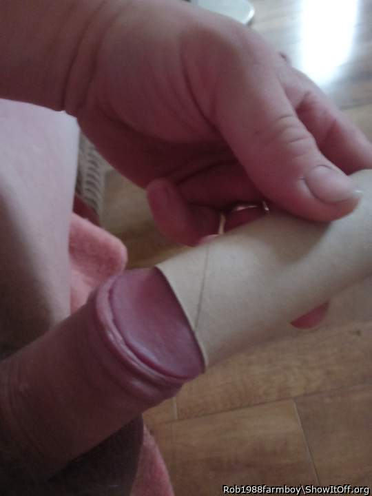 Toilet roll tube