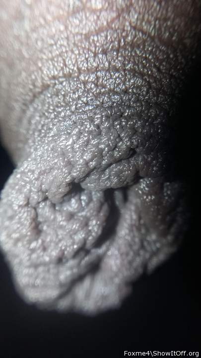 Photo of a schlong from Foxme4