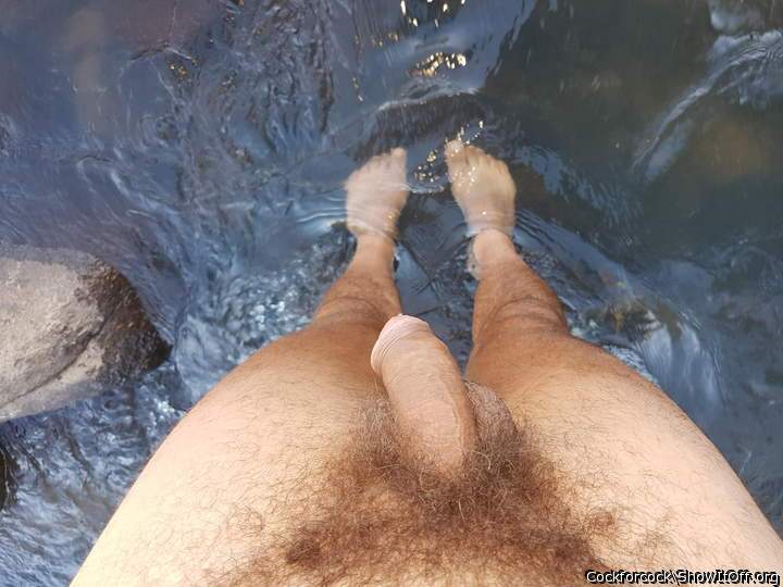 Photo of a stiffie from cockforcock
