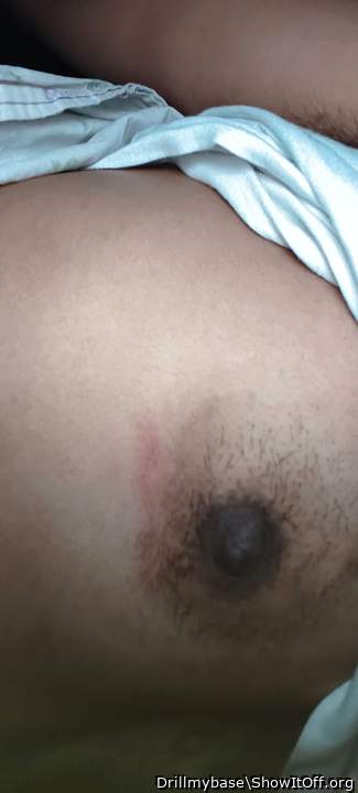 Photo of a middle leg from Drillmybase
