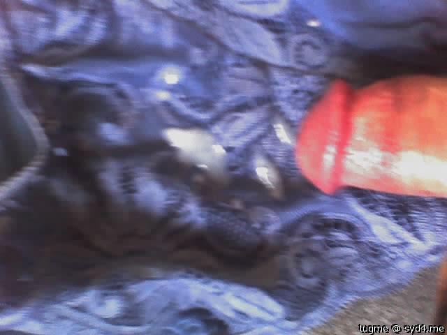 Adult image from tugme