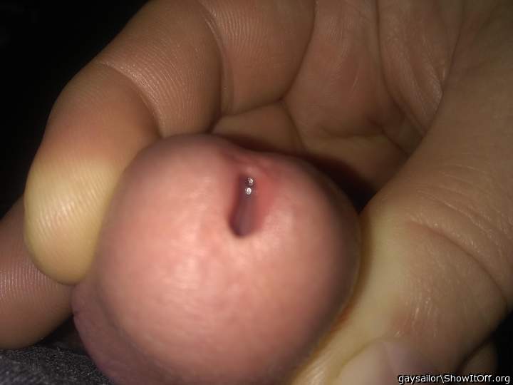 Photo of a sausage from GaySailor