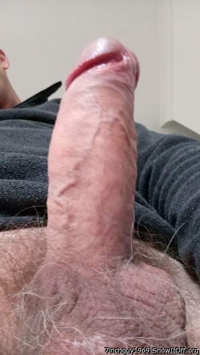 Photo of a snake from 7inchguy1969