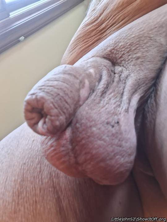 Small uncut penis