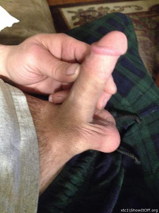 Happy Thanksgiving
