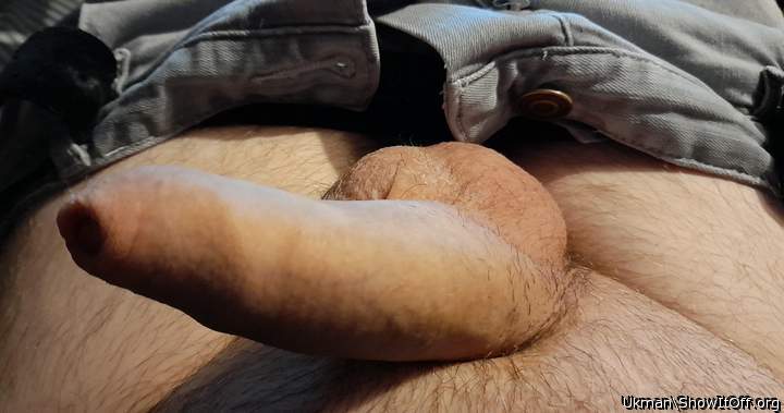 Photo of a snake from Ukman