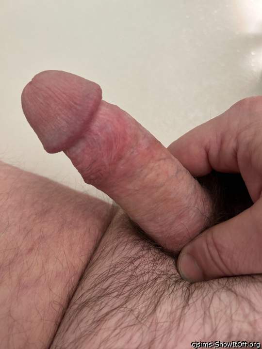 Photo of a boner from cjsims