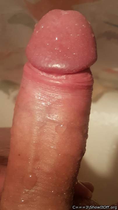 Photo of a hot dog from C===3