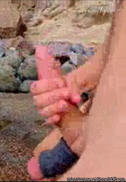 Photo of a python from prboricuasexo