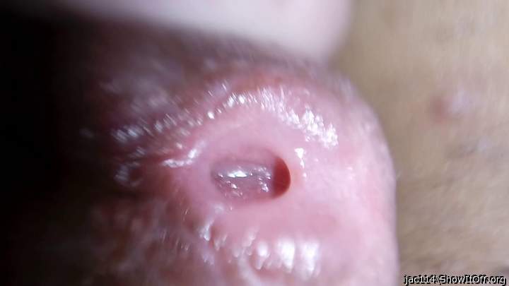 Photo of a pecker from jac114