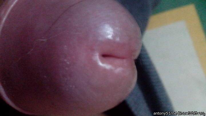 cock head pee hole
