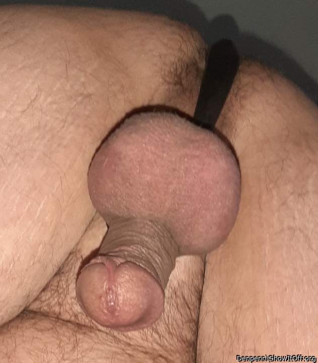 Adult image from Denpenn