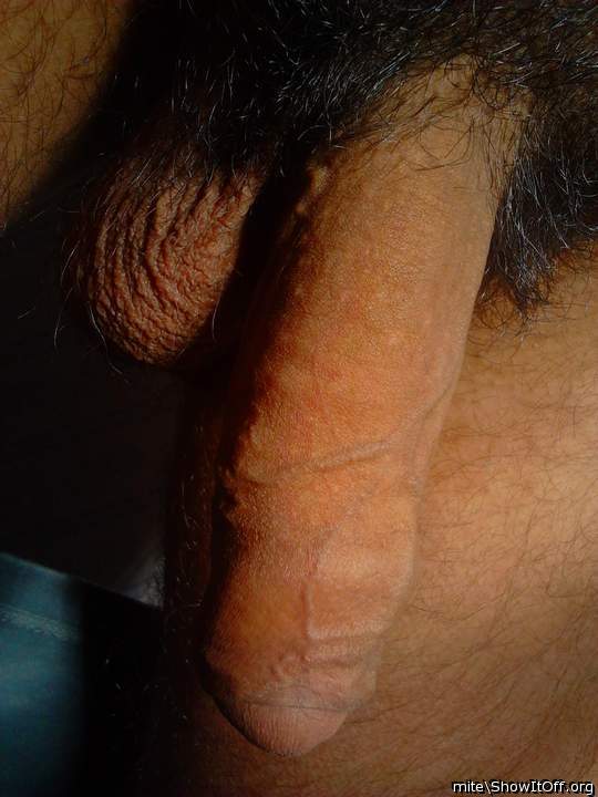 Photo of a hot dog from mite