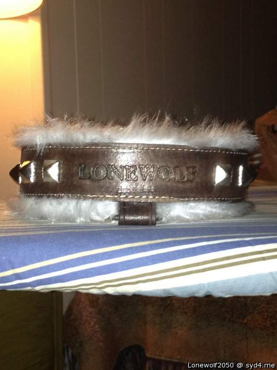My new Collar