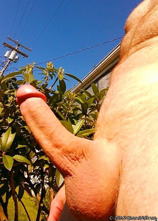 I just love the way the sun feels on my dick