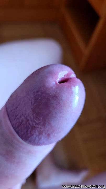 Photo of a middle leg from schwanz1