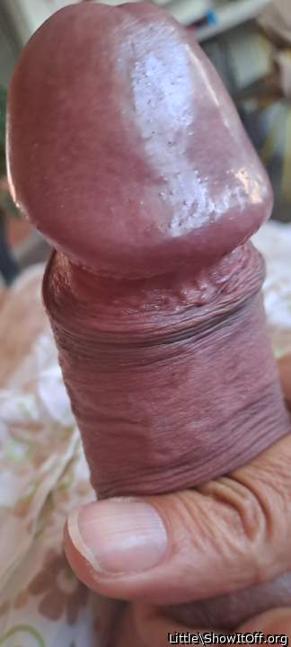 Adult image from Little