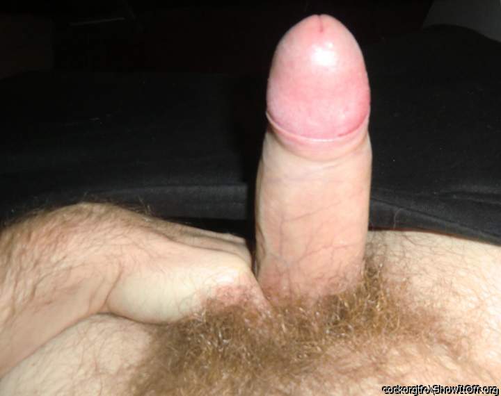 Photo of a weasel from cockorgtfo