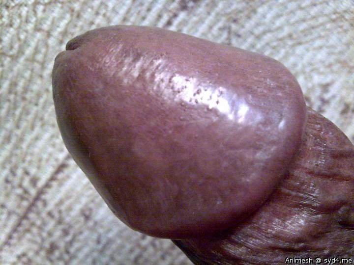 Photo of a sausage from Animesh