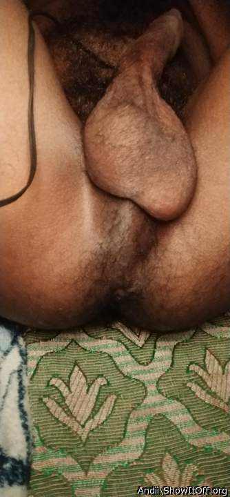 Testicles Photo from Andii