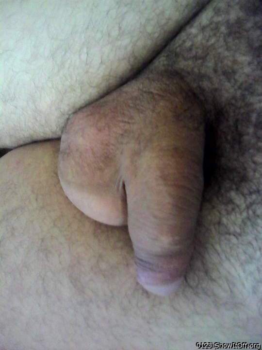 Photo of a hot dog from 0123