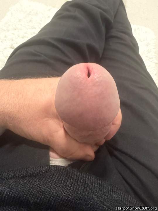 Photo of a sausage from Harpo