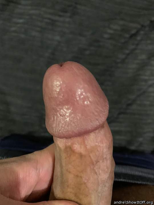 Photo of a hot dog from andre