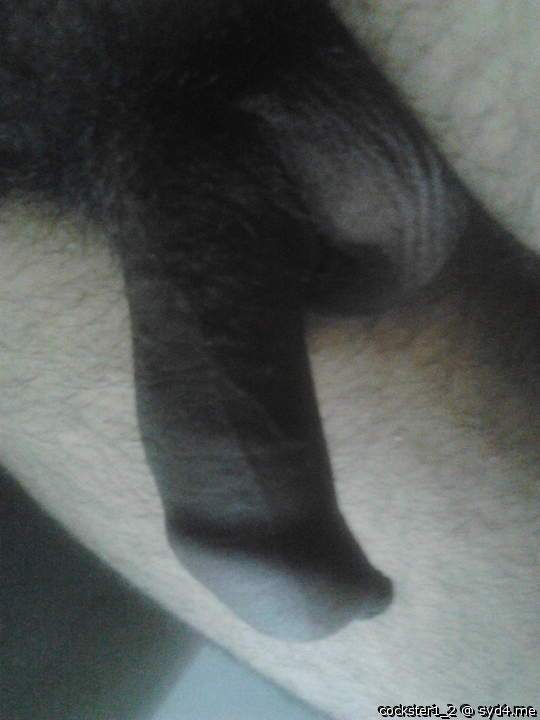 Photo of a python from cockster1_2