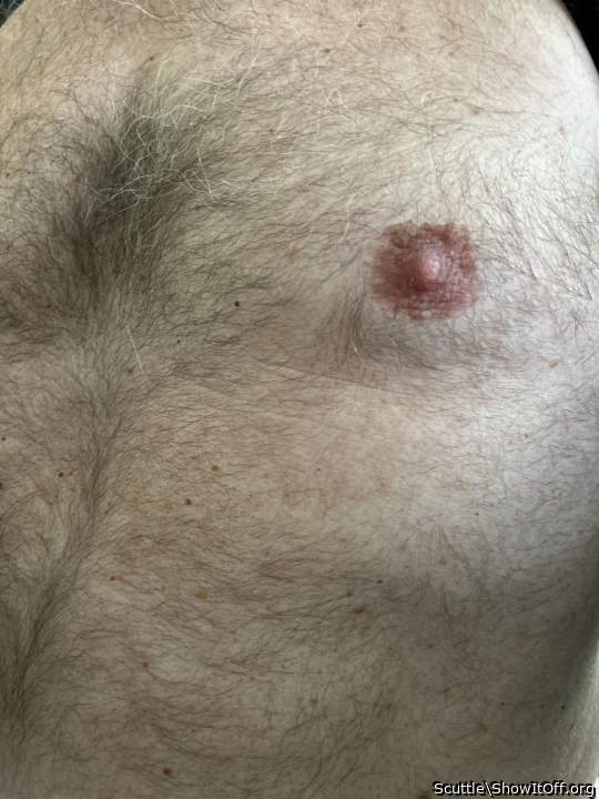 Photo of a pecker from Scuttle