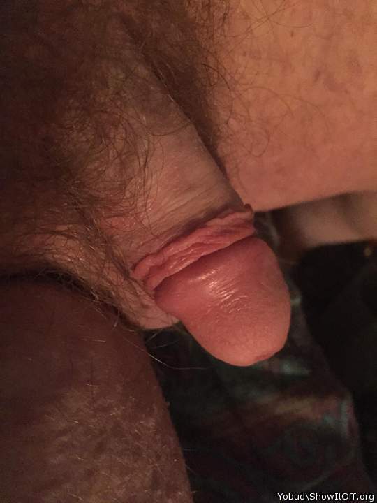 My Dick