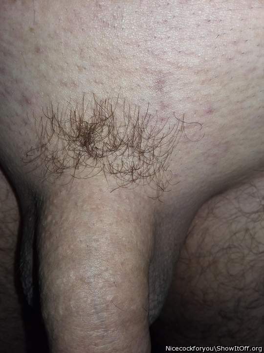 Photo of a cock from Nicecockforyou