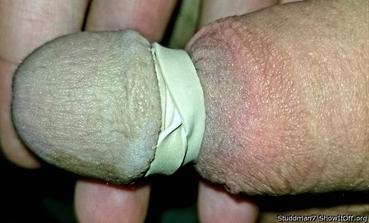 Photo of a phallus from Studdman7
